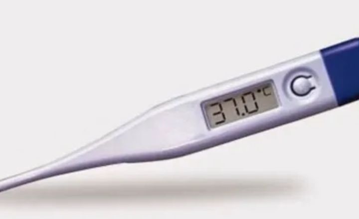 Digital Rectal Thermometer
