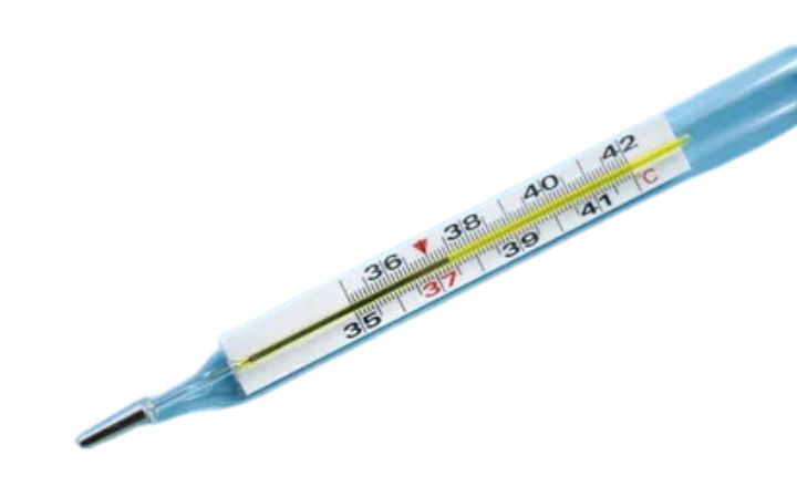 Mercury Rectal Thermometer